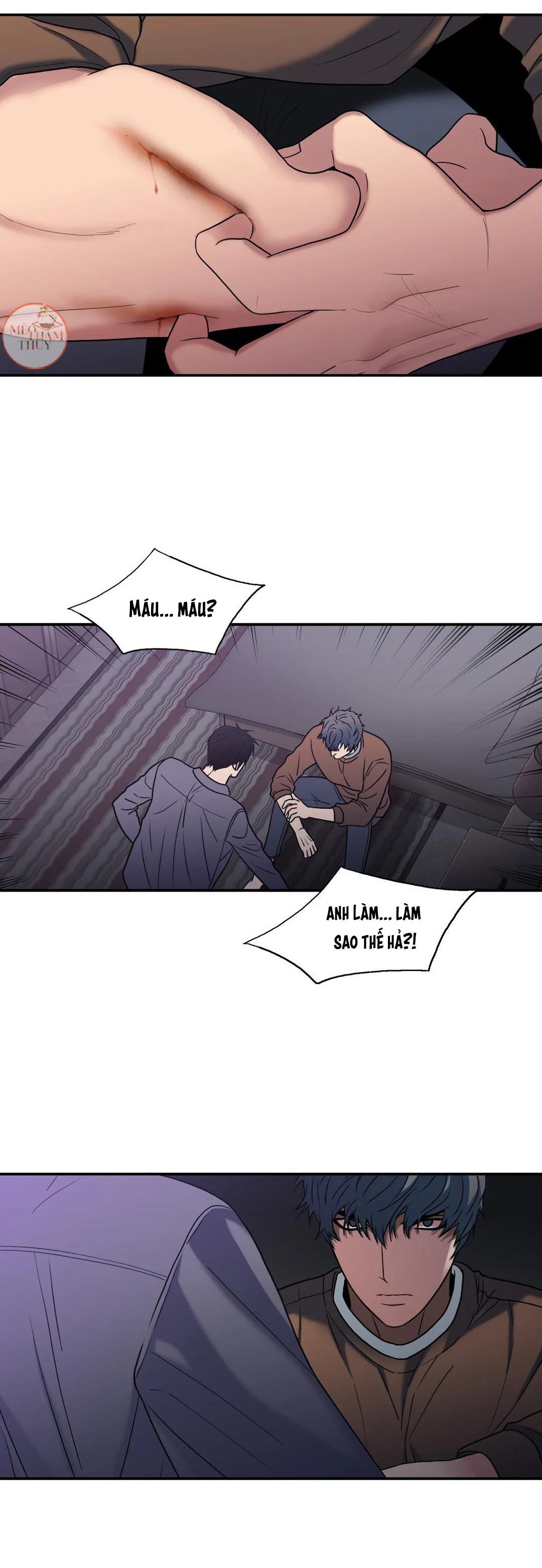 đưa đón người yêu chapter 96 7