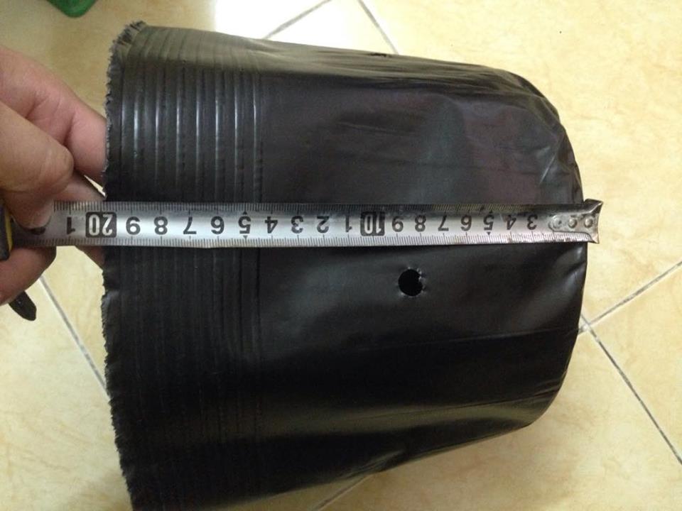 1KG CHẬU NHỰA MỀM ƯƠM CÂY 28X25 - BỊCH, TÚI BẦU 28x25, 1kg = 30 chậu