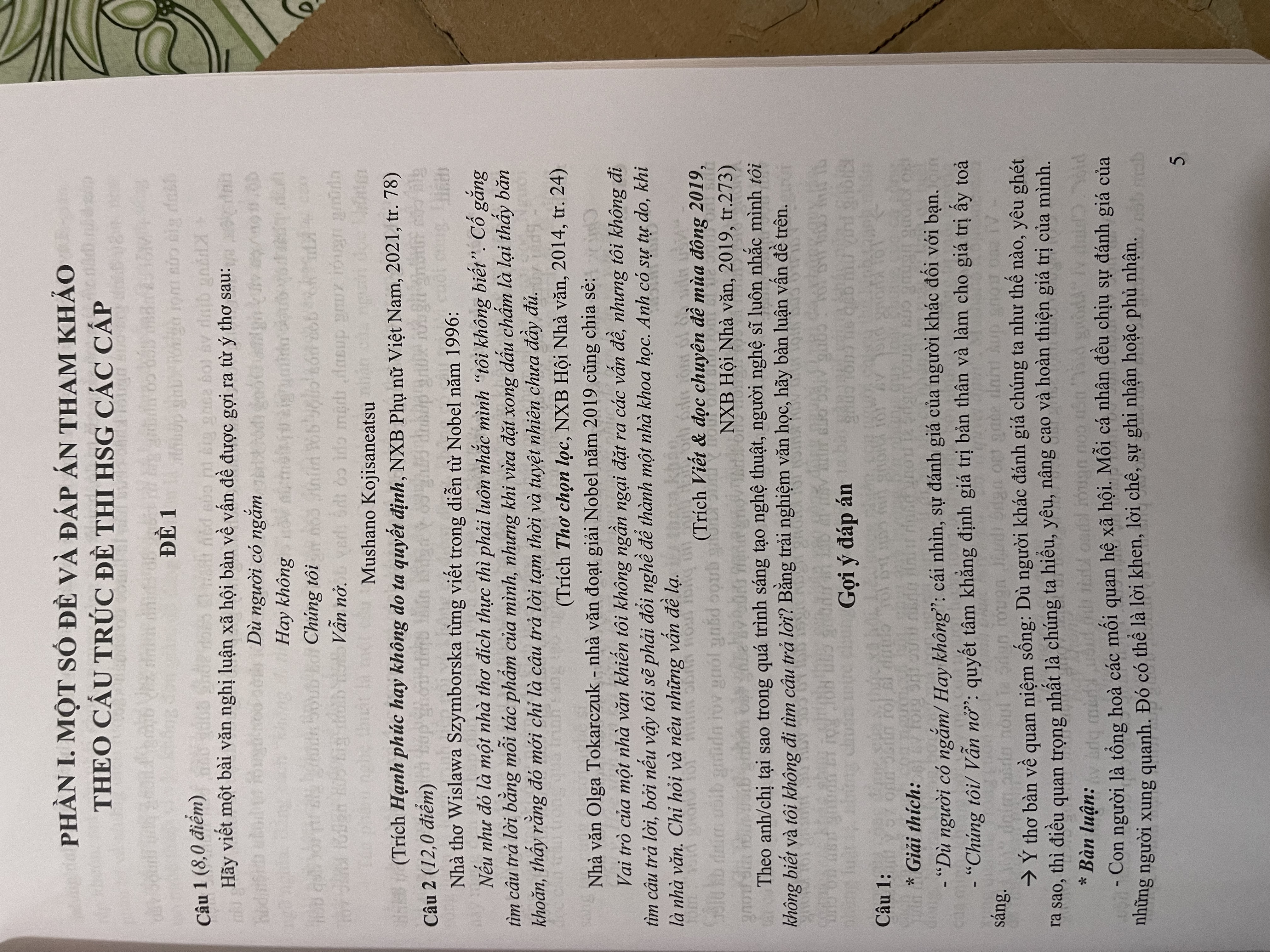 Sách Bồi dưỡng văn cùng đội tuyển học sinh giỏi quốc gia