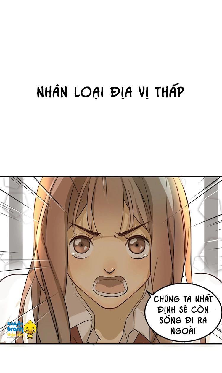 cứu mạng ! loài mèo thống trị thế giới rồi ! chapter 1 4