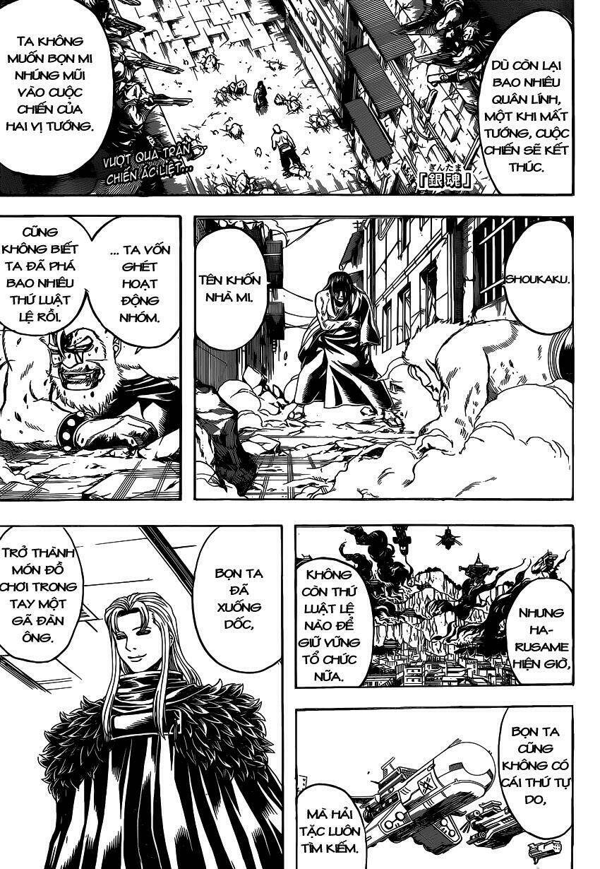 gintama - linh hồn bạc chapter 565 2