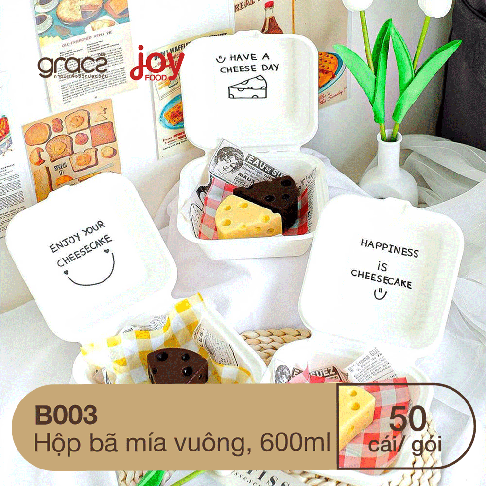 50 hộp bã mía Gracz hình vuông 17.5x17.5x50 cm