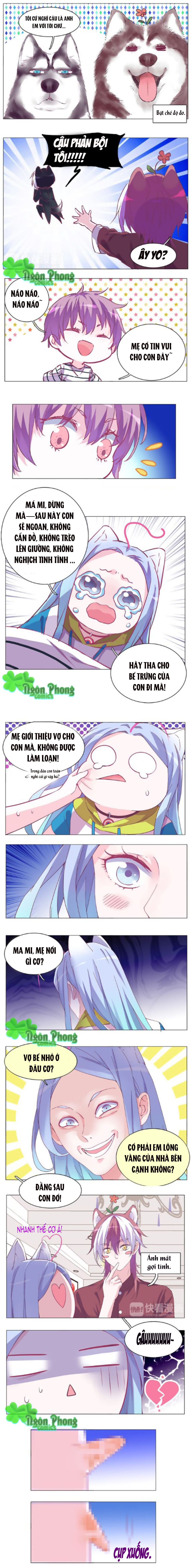 đừng nghịch, ta chỉ muốn yên tĩnh chapter 28 2