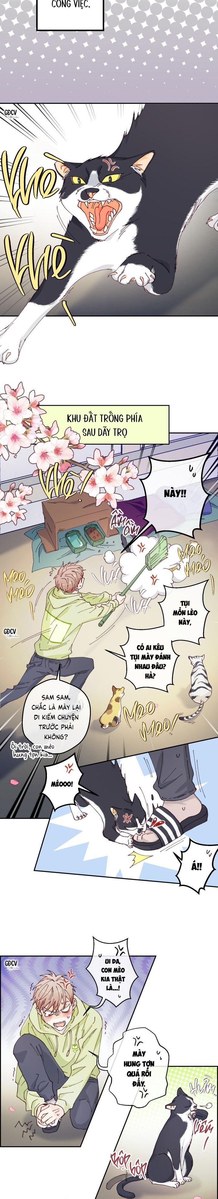 bạn trai vô song của tôi chapter 1 8