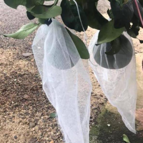 50 Túi bọc bưởi vải lưới mùng kích thước 30*35 số lượng BỌC BƯỞI TÚI chất lượng cao