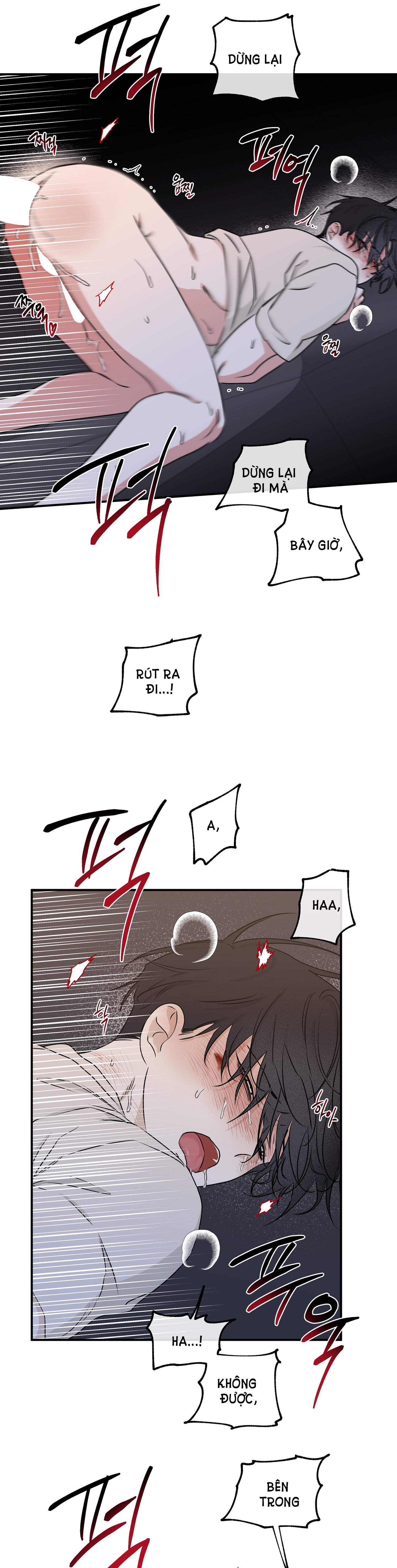 đêm bên bờ biển chapter 54.5 16