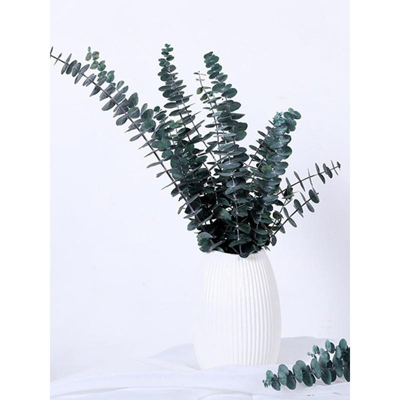 Hoa trang trí, decor phòng - Preserved Frosted Natural Eucalyptus – Lá bạch đàn