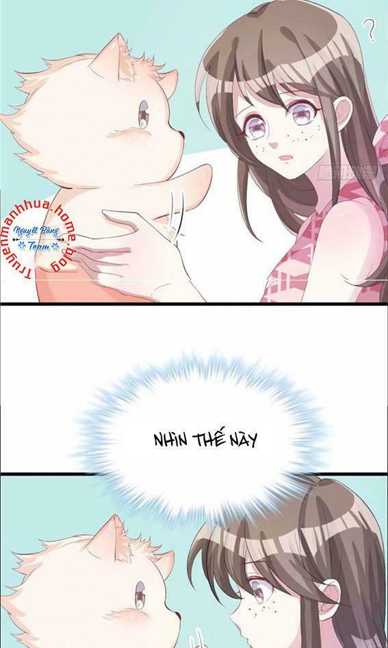 [16+] thảnh thơi thú thế chủng chủng điền, sinh sinh tể chapter 74 7