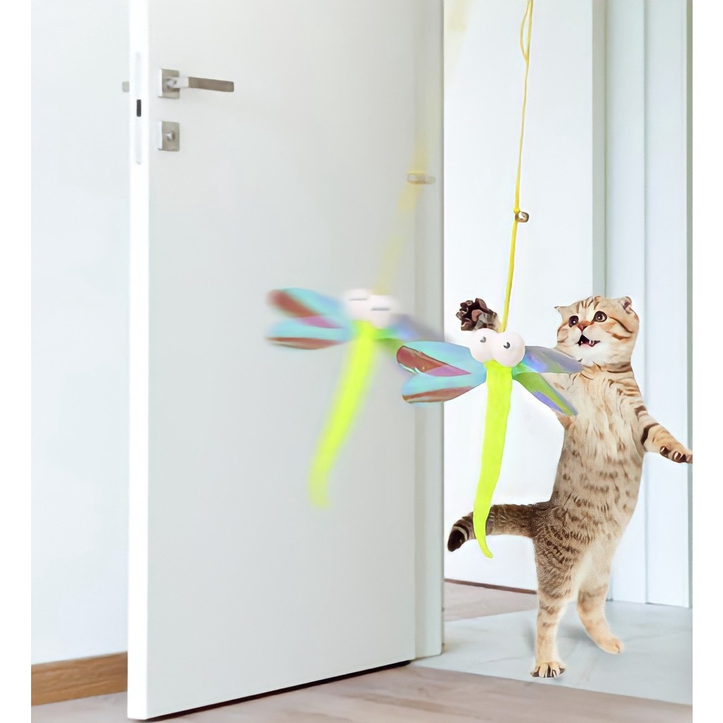 Đồ chơi cho mèo gắn tường có dây treo, nhiều hình ngộ nghĩnh