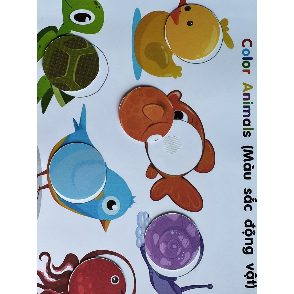 Monsi Edu Học liệu montessori màu sắc cho bé F85M