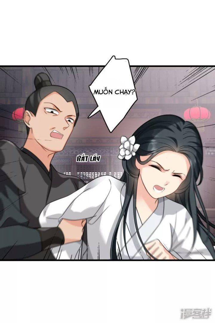 nụ cười của ngươi ngọt gãy tám cái răng của ta chapter 14 17