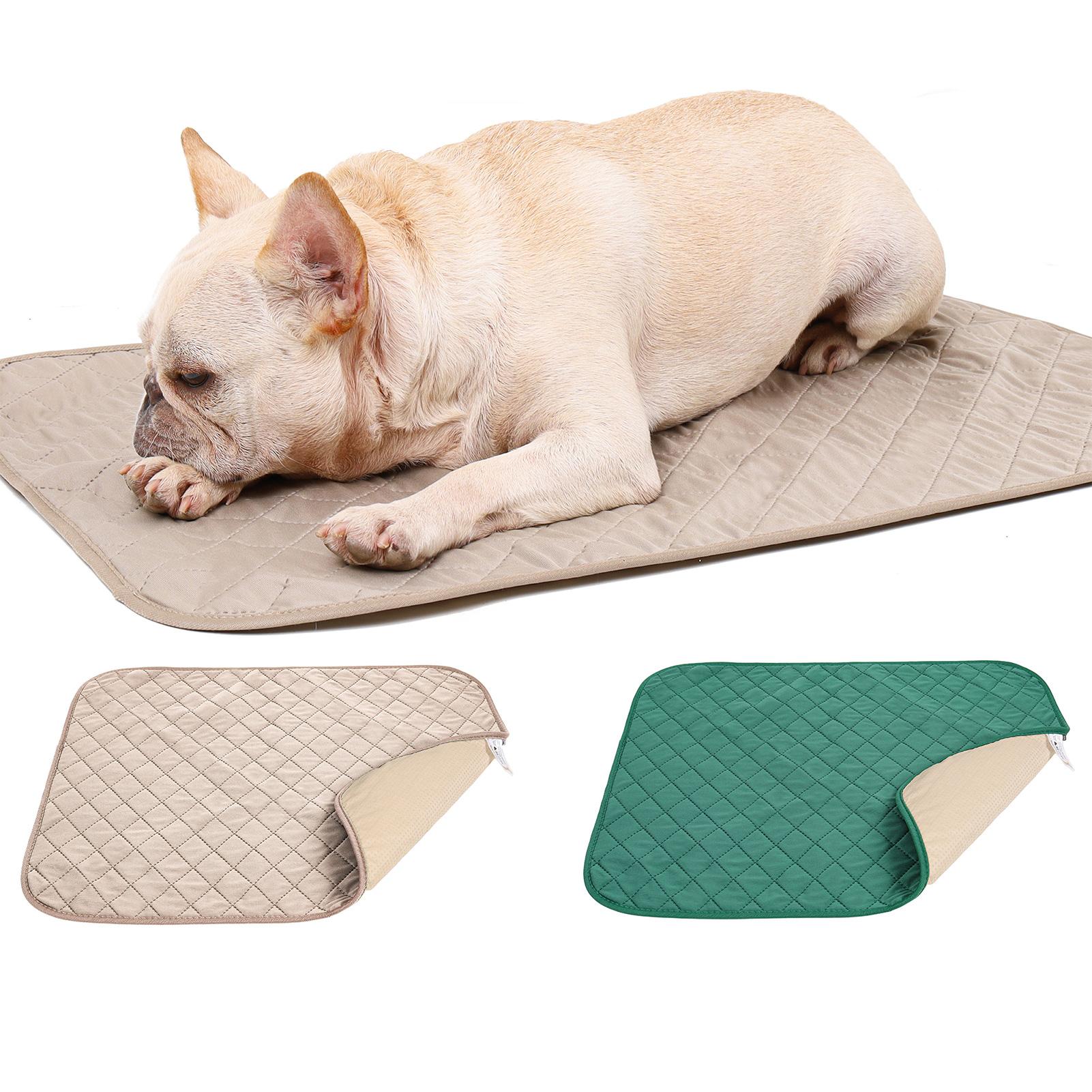 Miếng lót vệ sinh cho chó, mèo chống trượt,tái sử dụng