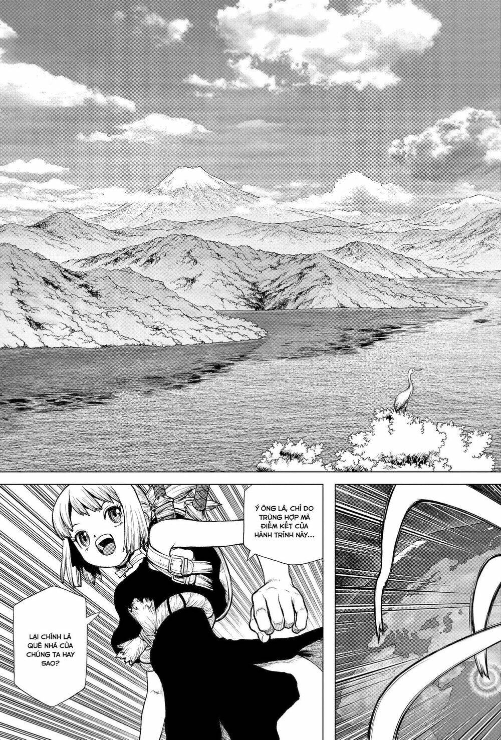 dr.stone - hồi sinh thế giới chapter 210 8