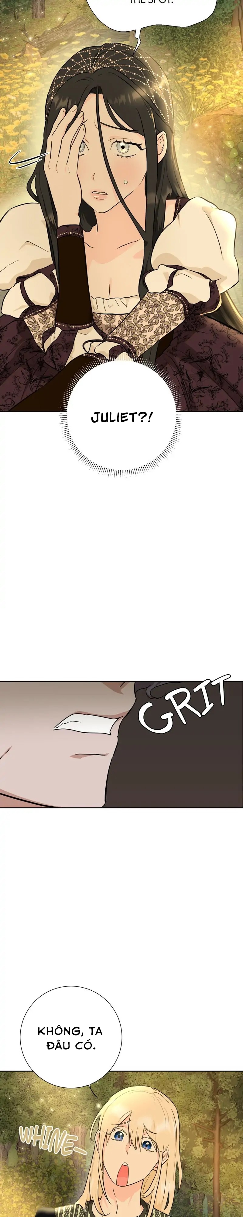 tạm biệt nàng, juliet chapter 22 27