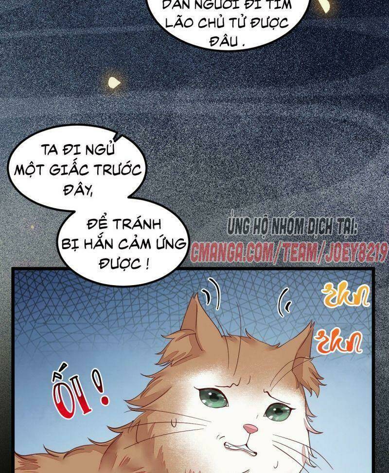 sát thủ vương phi không dễ chọc chapter 44 45