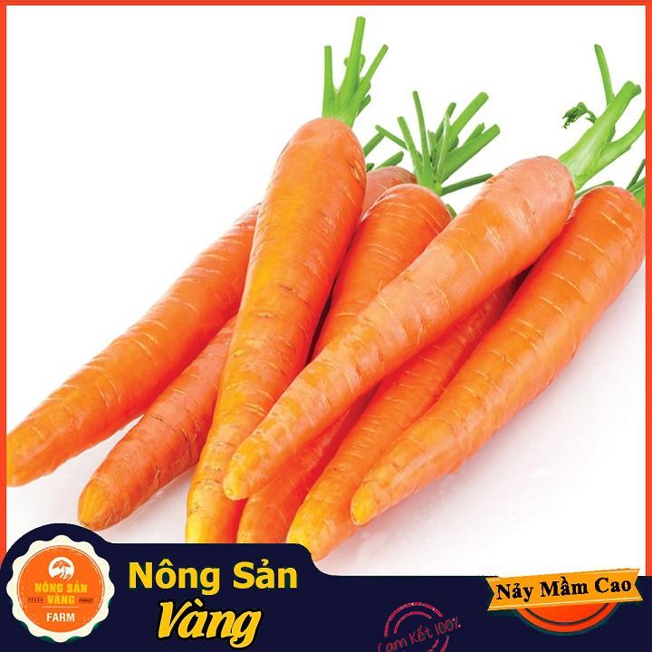 Hạt giống Cà Rốt Thường F1
