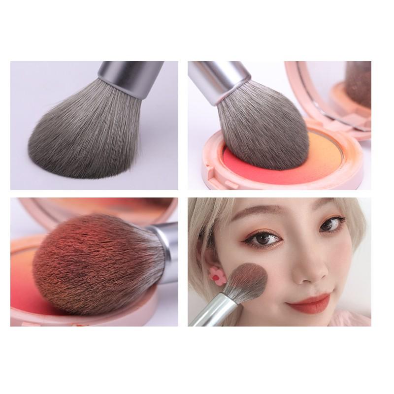 Cọ Tán Má Hồng MSQ - Blush Brush