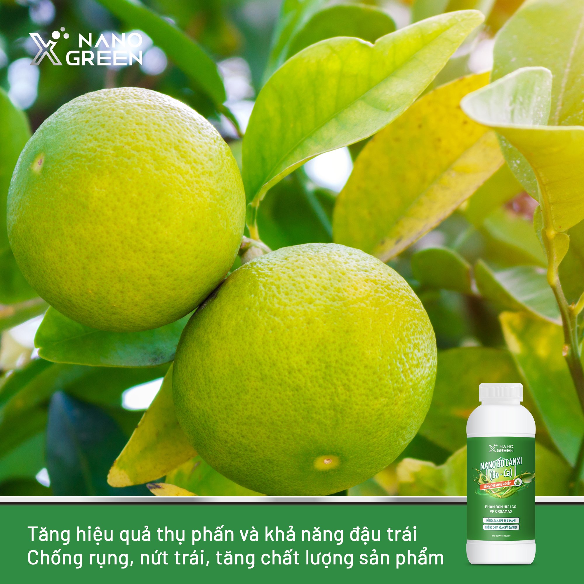 NANO BO-CANXI (Bo-Ca) PHÂN BÓN NANO XGREEN NÔNG NGHIỆP 100ML TĂNG ĐẬU HOA ĐẬU TRÁI, CHỐNG RỤNG HOA, NỨT TRÁI-AHT CORP (AHTC)