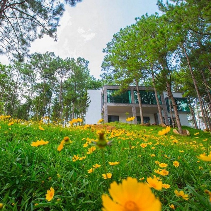 Terracotta Hotel & Resort 4* Đà Lạt - Buffet Sáng, Hồ Bơi, Xe Đưa Đón Trung Tâm, Nằm Bên Hồ Tuyền Lâm Thơ Mộng