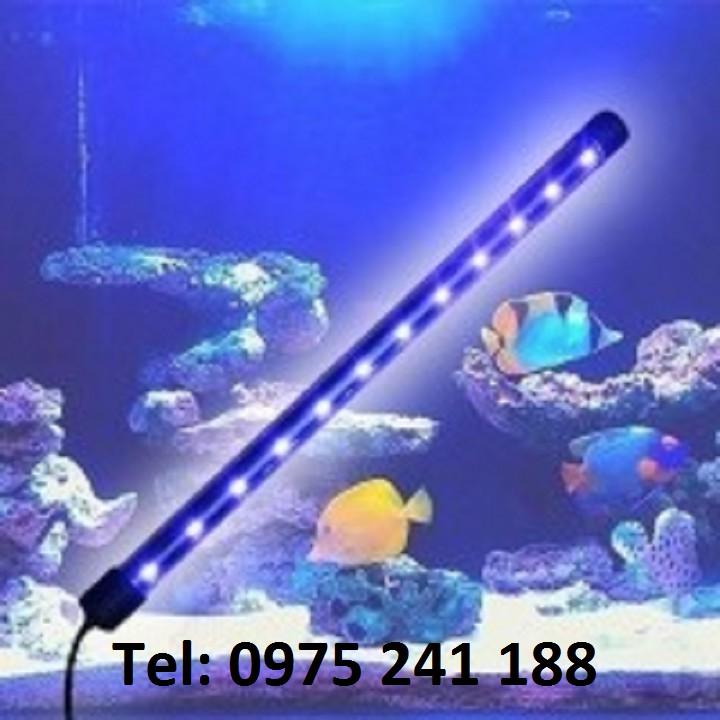 Đèn bể cá T4-40 siêu sáng, 6W, dài 38.5cm, dùng cho bể 40-50cm