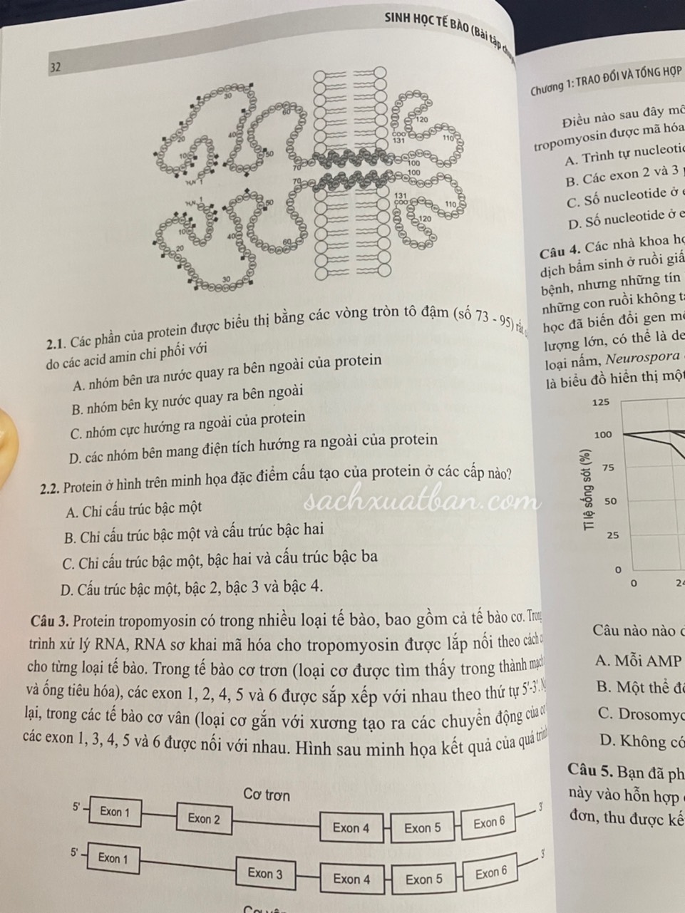 Sinh học tế bào – Bài tập chuyên đề
