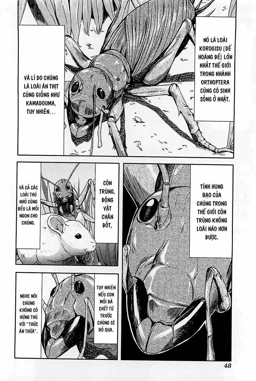 arachnid chapter 22 19