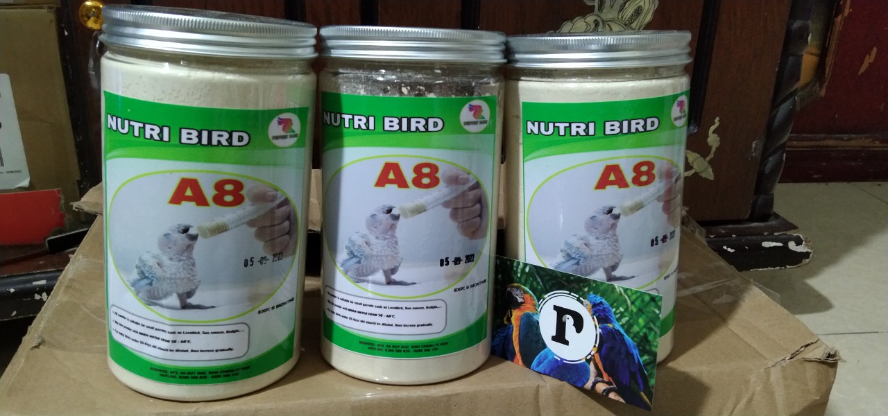 1 HŨ NGUYÊN SEAL BỘT A8 DÀNH CHO VẸT NON
