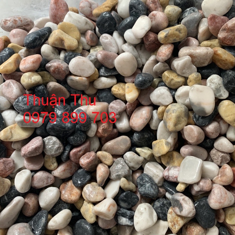 1kg Sỏi Nhiều Màu Size 6-12 mm Trang Trí Tiểu Cảnh, Chậu Cây, Hồ Cá cảnh