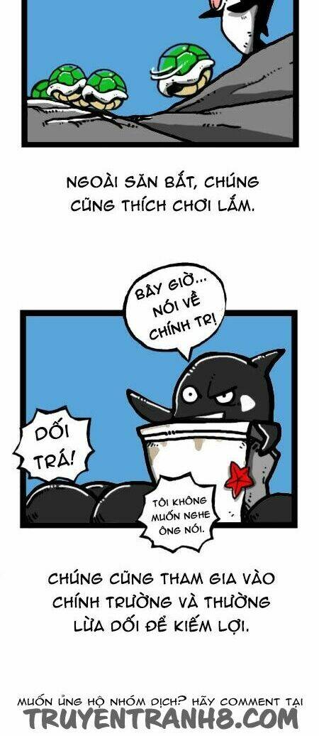 earth, human, and animal chapter 23 23