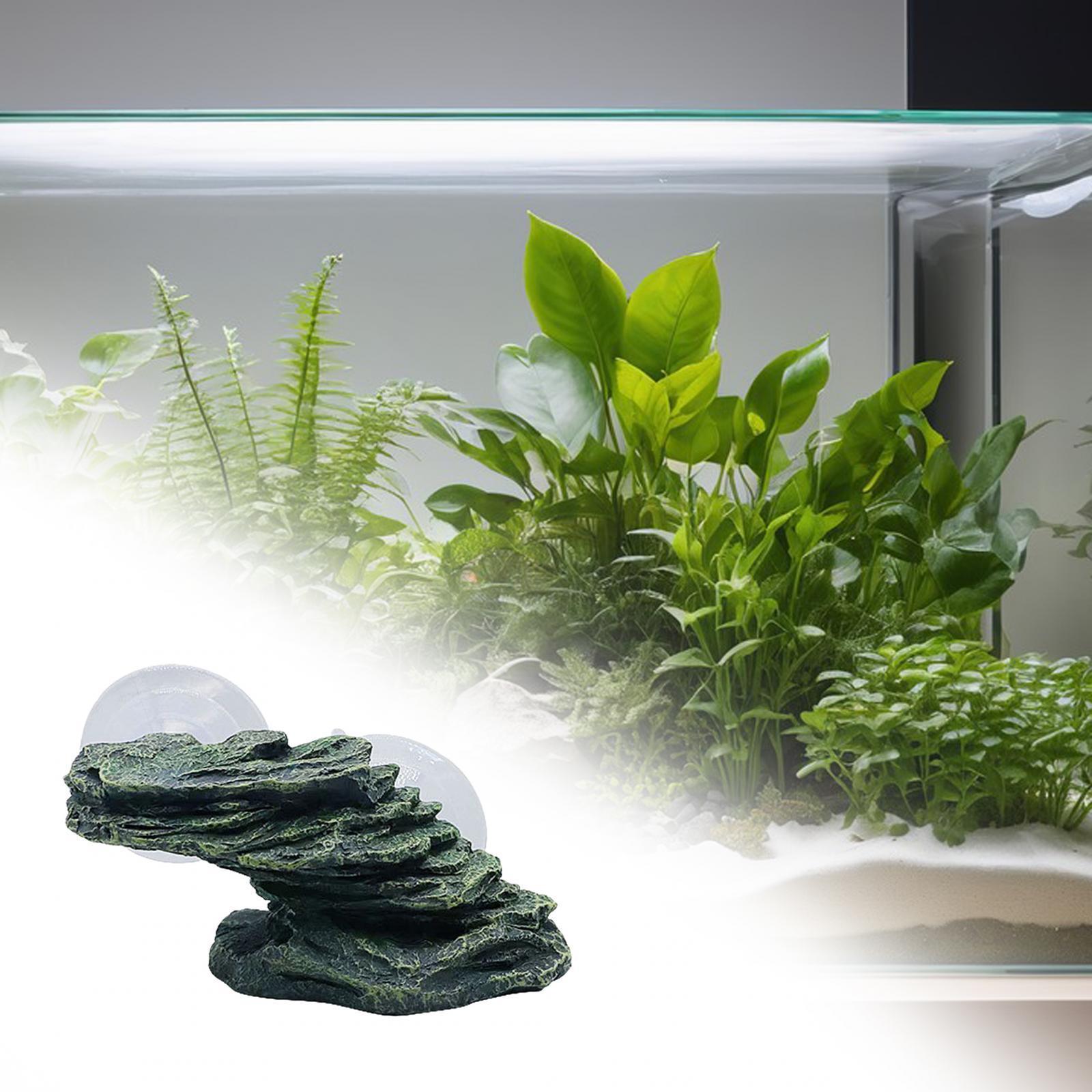 Rock Tortoise Floating Dock Resting Basking Terrace for Newts Turtles