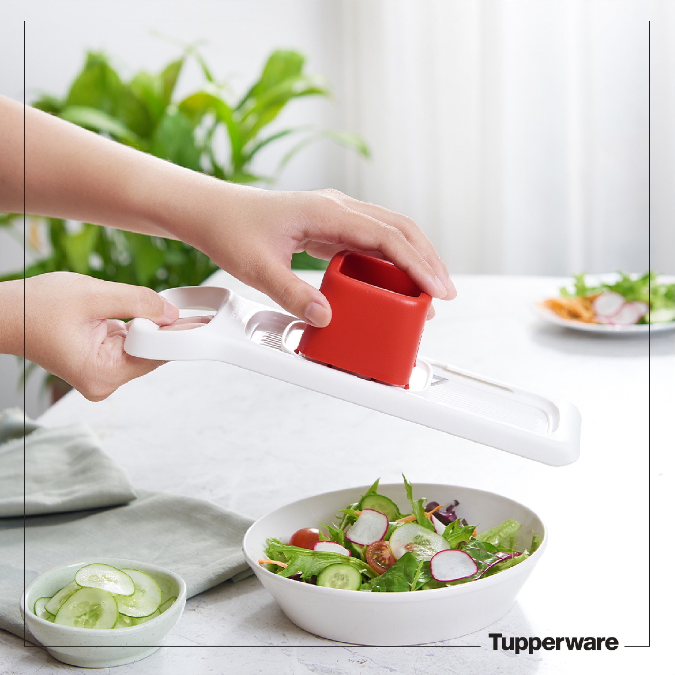 Dụng Cụ Bào Thực Phẩm Tupperware Speedy Mando