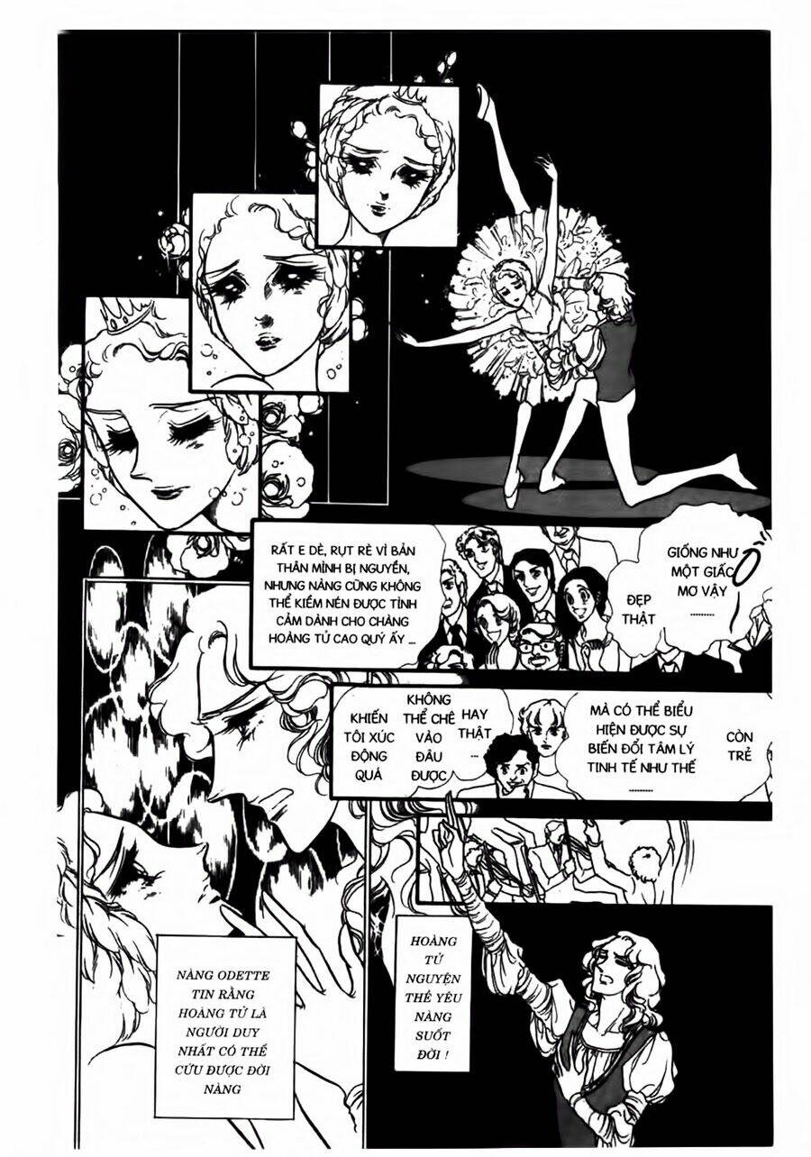 swan - vũ khúc thiên nga chapter 41 21