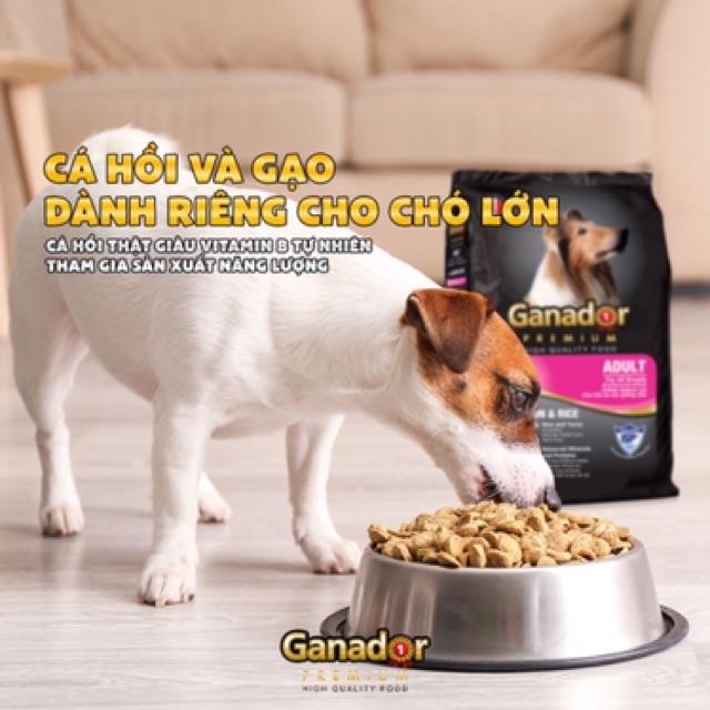 THỨC ĂN CHO CHÓ GANADOR PUPPY VỊ CÁ HỒI VÀ GẠO 400 GR