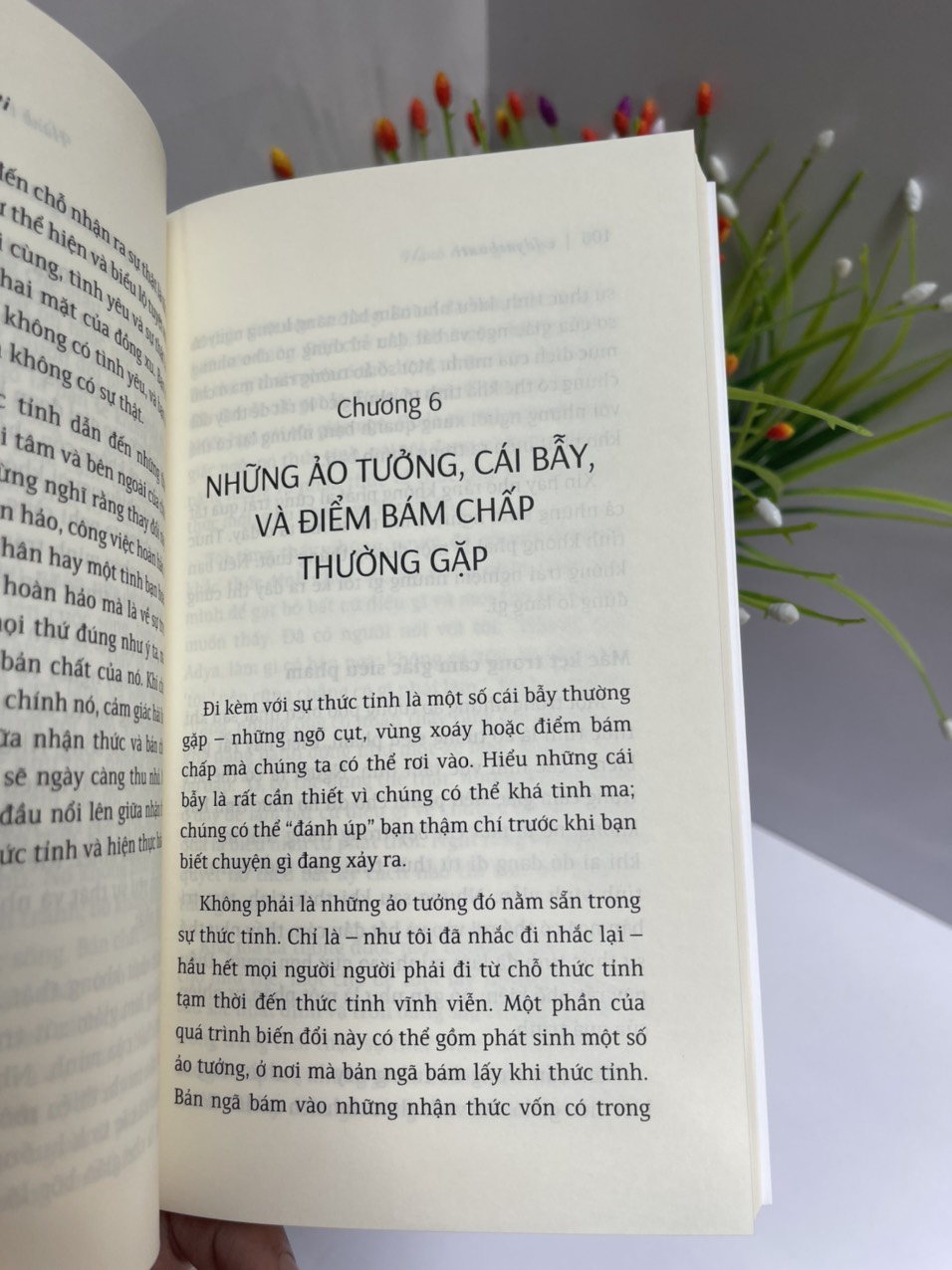HÀNH TRÌNH GIÁC NGỘ – Adyashanti – Phạm Hải Anh dịch – Saigonbooks – NXB Thế Giới