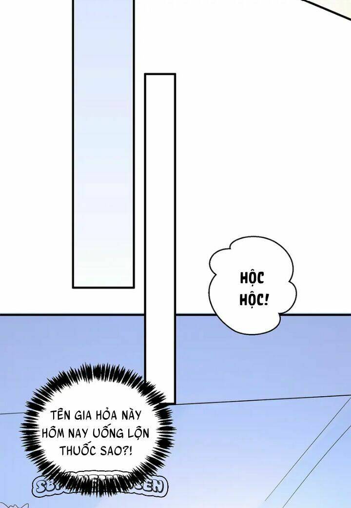 tổng tài truy thê: phu nhân đừng hòng trốn chapter 26 16