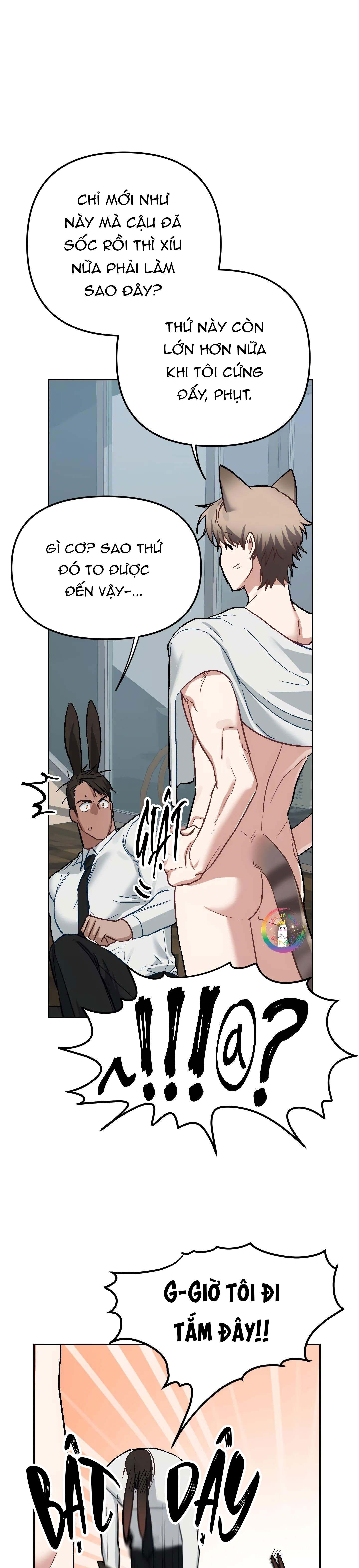 thỏ xuất tinh trong vòng 3 giây chapter 3 15