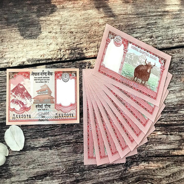 Combo 20 tờ lưu niệm hình con Trâu của Nepal, dùng để sưu tầm, lưu niệm, làm tiền lì xì độc lạ, may mắn, ý nghĩa