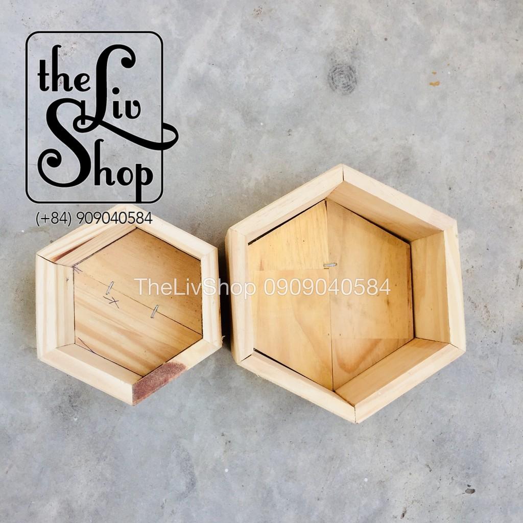 Chậu cây gỗ lục giác
