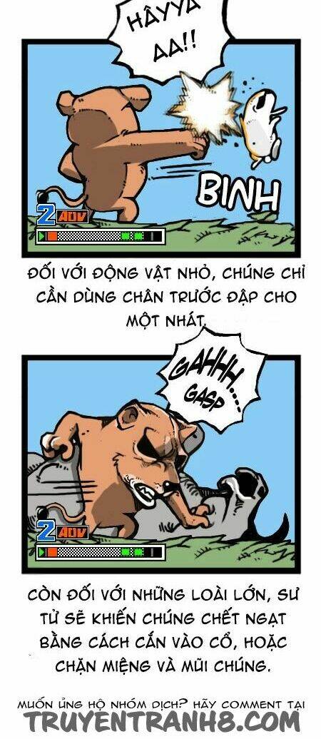 earth, human, and animal chapter 27 20