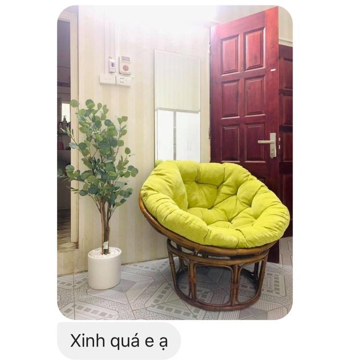 Cây giả - CÂY KIM TIỀN LÁ TRÒN CAO 150CM - LC3001