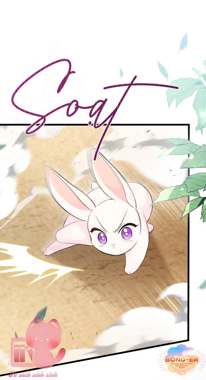 quan hệ cộng sinh giữa báo đen và thỏ trắng chapter 82 56