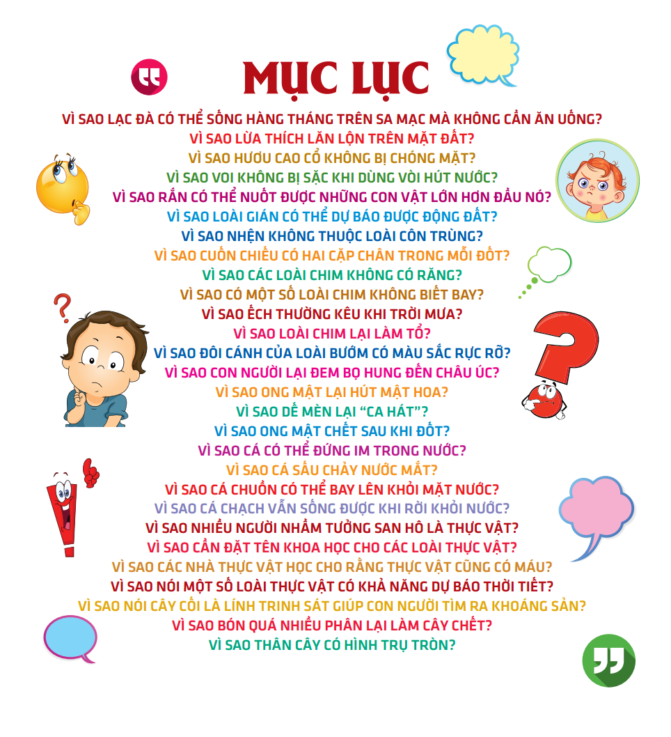 Vì Sao Chim Lại Làm Tổ?