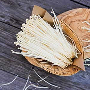enokitake