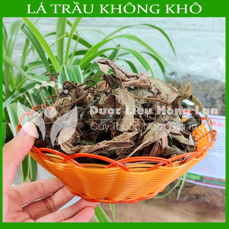 500g Lá Trầu Không khô sạch loại 1