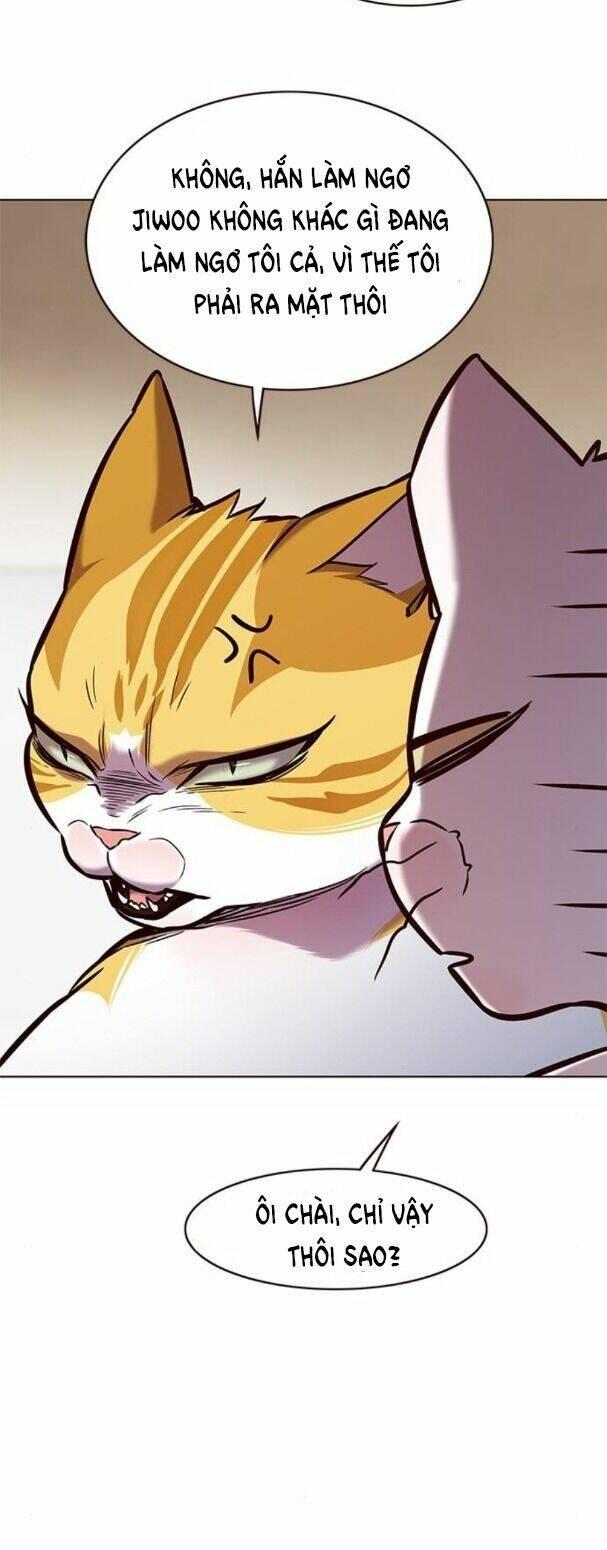 biến thân thành mèo chapter 173 37
