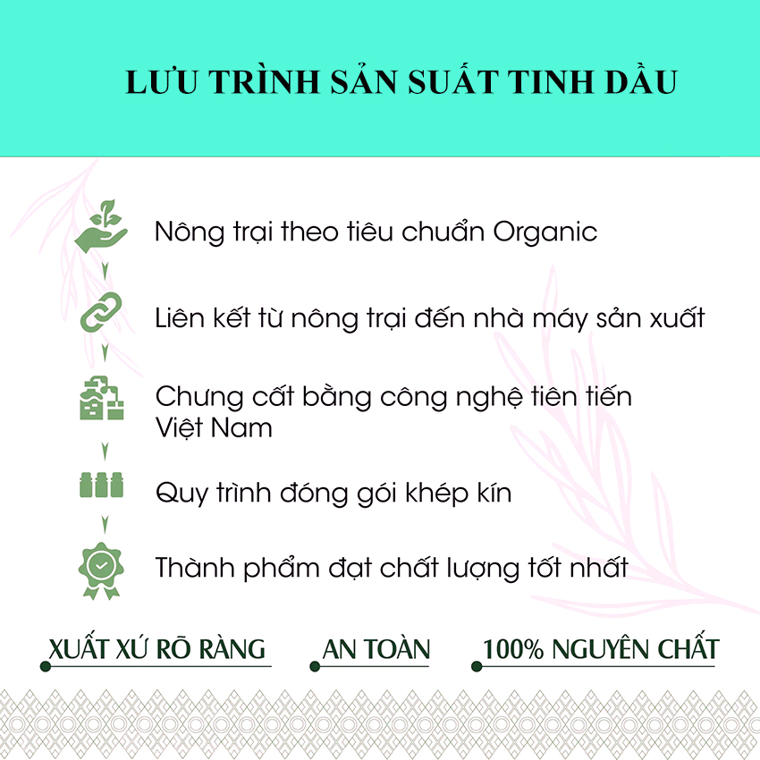 Tinh Dầu Hương Nhu Thiên Nhiên Nguyên Chất Thơm Phòng Giảm Căng Thẳng Đuổi Muỗi Khử Mùi Hôi