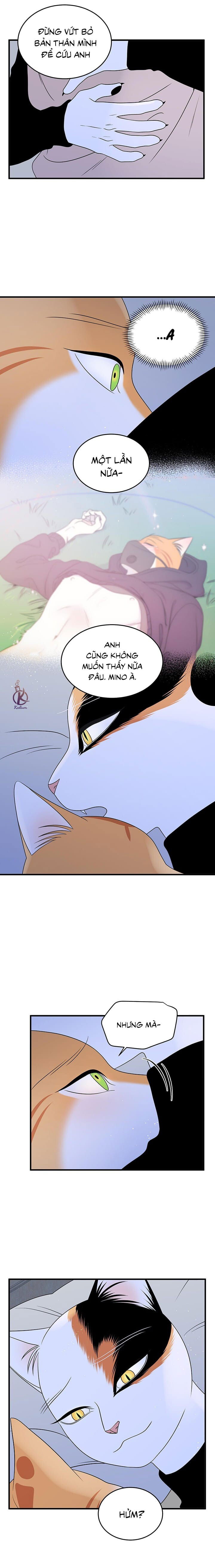 dự án xanh chapter 40 6