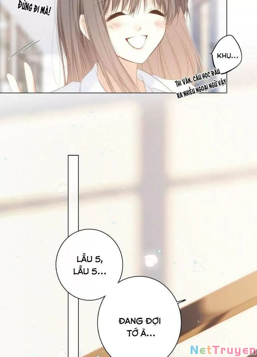 con tim rung động 2 chapter 145 17