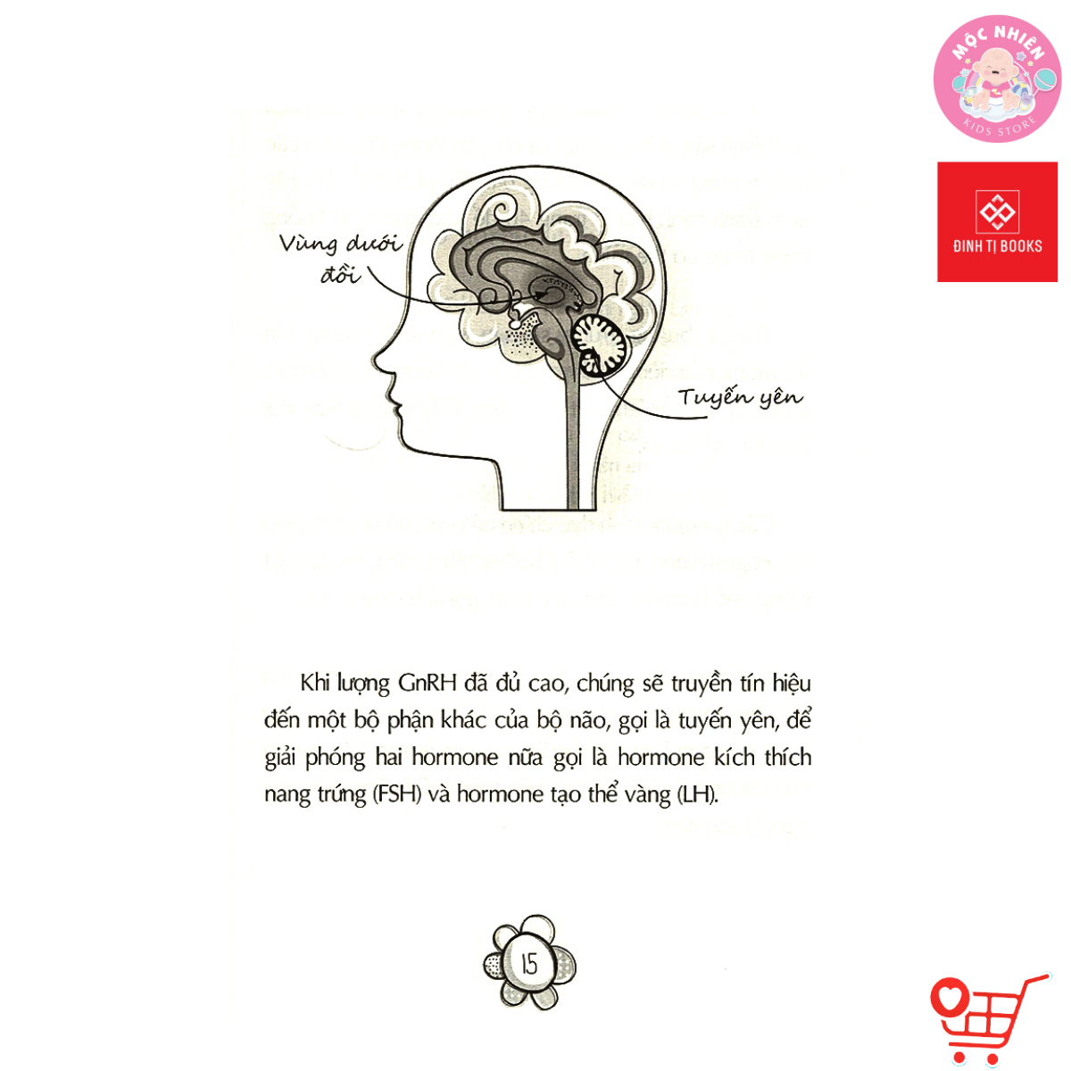 Sách - Tuổi dậy thì - Từ &quot;Cậu bé&quot; đến &quot;Anh chàng&quot; và Từ &quot;Cô bé&quot; đến &quot;Cô nàng&quot; - cho bé 9 tuổi trở lên - Đinh Tị Books