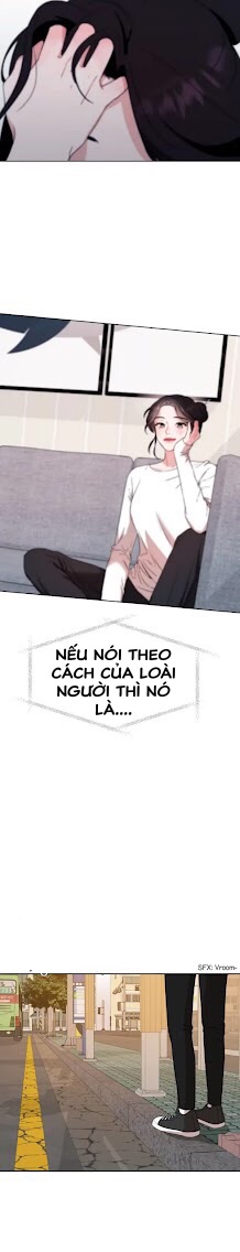 lãng mạn đẫm máu chapter 1.5 25